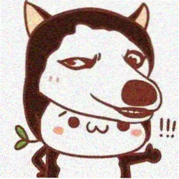 读者小舟头像